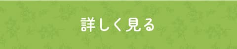 詳しく見る