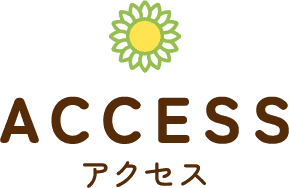 アクセス